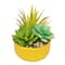 6.5&#x22; Mixed Succulents in Yellow Ceramic Pot by Ashland&#xAE;